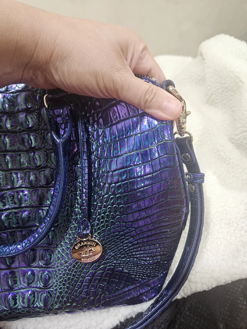 Brahmin stylish iridescent